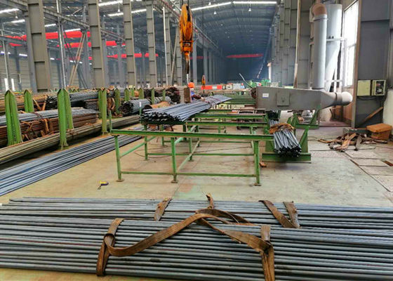 পাওয়ার জেনারেশন জিবি ASME EN স্ট্যান্ডার্ডের জন্য এইচআরএসজি সুপার লং বয়লার স্টিল টিউব