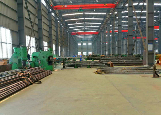 ASTM SA213 P22 অ্যালয় স্টিল সিমলেস বয়লার ইকোনোমাইজার টিউব ডাবল র্যান্ডম
