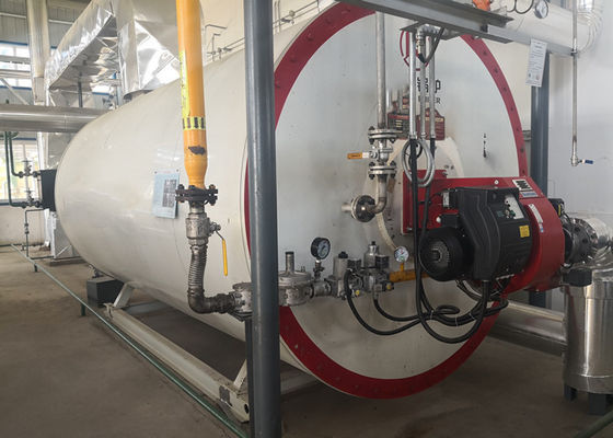 উচ্চ নিরাপত্তা স্তরের সঙ্গে 0.7MW জৈব ডিজেল জ্বালানী বাষ্প বয়লার